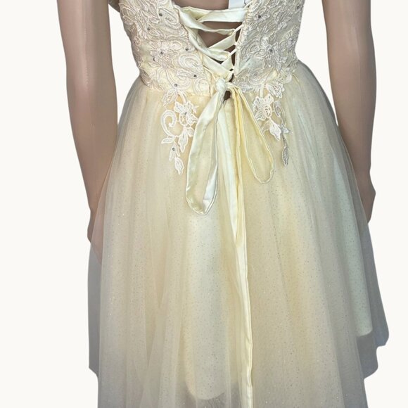 Ivory & Cream Lace & Tulle Short Dress With Rhinestone Accents Size 8 Elegant NW - Picture 11 of 13
